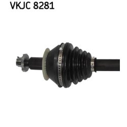 vkjc-8281-2.jpg