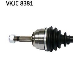 vkjc-8381-2.jpg