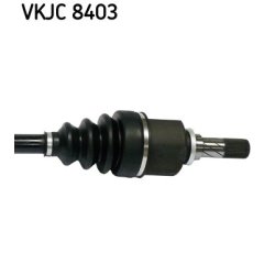 vkjc-8403-3.jpg