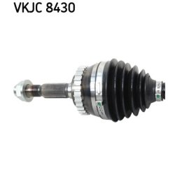 vkjc-8430-2.jpg