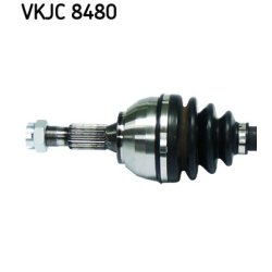vkjc-8480-2.jpg