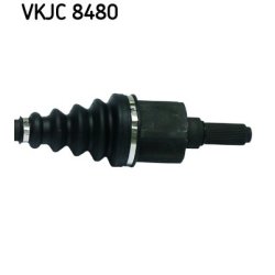 vkjc-8480-3.jpg