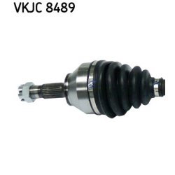 vkjc-8489-2.jpg