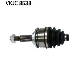vkjc-8538-2.jpg
