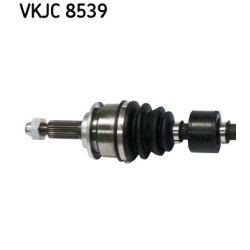 vkjc-8539-2.jpg