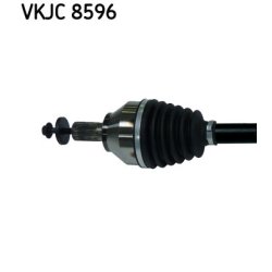 vkjc-8596-2.jpg