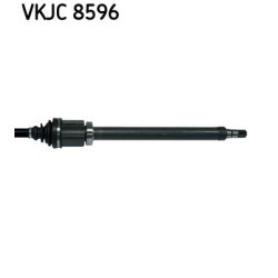 vkjc-8596-3.jpg