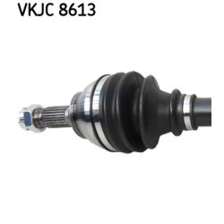 vkjc-8613-2.jpg