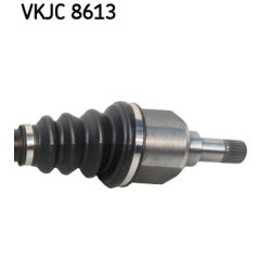 vkjc-8613-3.jpg