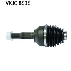 vkjc-8636-2.jpg