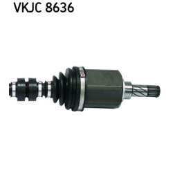 vkjc-8636-3.jpg