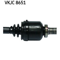vkjc-8651-3.jpg