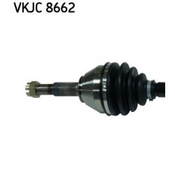 vkjc-8662-2.jpg