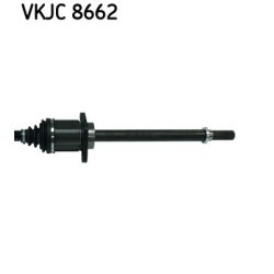 vkjc-8662-3.jpg