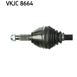 vkjc-8664-2.jpg