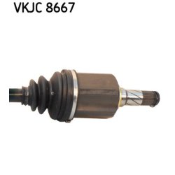 vkjc-8667-3.jpg