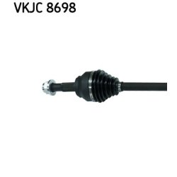 vkjc-8698-2.jpg