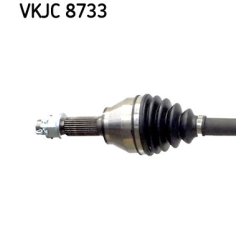 vkjc-8733-2.jpg