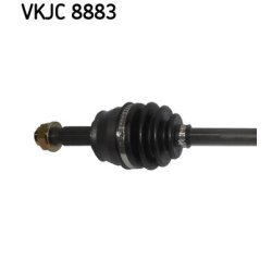 vkjc-8883-2.jpg