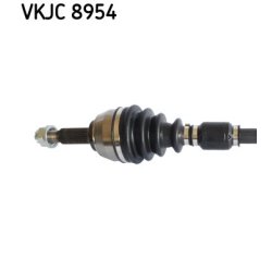 vkjc-8954-2.jpg