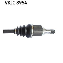 vkjc-8954-3.jpg