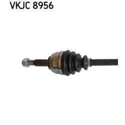 vkjc-8956-2.jpg