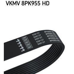 V ribbed Belt VKMV8PK955HD SKF VKMV 8PK955 HD OE Ref 978238