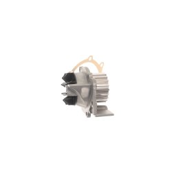 Water Pump VKPC83636 SKF VKPC 83636 OE Ref 120193 SKF