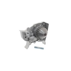 Water Pump VKPC86216 SKF VKPC 86216 OE Ref 7700866518 SKF