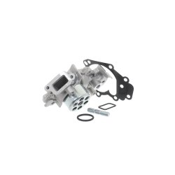 Water Pump VKPC86218 SKF VKPC 86218 OE Ref 210109189R SKF