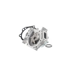 Water Pump VKPC86218 SKF VKPC 86218 OE Ref 210109189R SKF