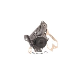 Water Pump VKPC91613 SKF VKPC 91613 OE Ref 1611009010 SKF