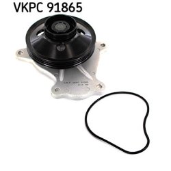 Water Pump VKPC91865 SKF VKPC 91865 OE Ref 1610039575 SKF