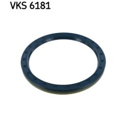 Wheel Bearing Shaft Seal VKS6181 SKF VKS 6181 OE Ref 06562890334