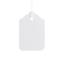 BX1000 Strung Tags White 48x30mm
