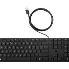HP Wired Desktop Keyboard (Keyboard & Mouse)