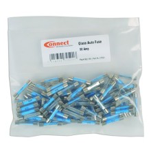 Fuses Standard Auto Glass Pack Of 100 (Glass Fuses) Amps 50A Tools & Maintenance