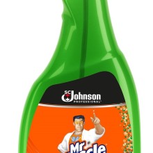 Window & Glass Cleaner 750ml Trigger (Kitchen)