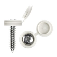 Self Tapping Screws (pack of 100) (SelfTap Screw & Cap) Colour White