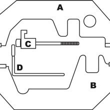 Timing Tool Kit BMW (Timing Tool) Tools & Maintenance