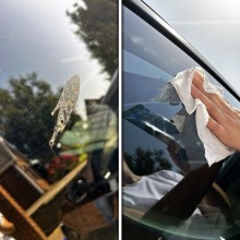 ClearVue Glass Cleaner wipes (Glass Wipes) Tools & Maintenance
