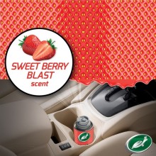 Odor X Whole Car Blast (Carpet & Upholstery Cleaners) Fragrance Berry Blast Tools & Maintenance