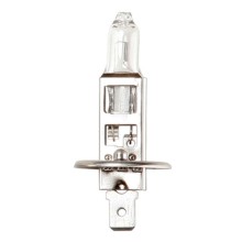 12V 55W H1 P14.5s Halogen Headlamp Bulb (Headlamp Bulbs)