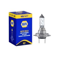 12V 55W H7 PX26d Halogen Headlamp Bulb (Headlamp Bulbs) Tools & Maintenance