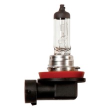 12V 35W H8 PGJ19 1 Halogen Headlamp Bulb (Headlamp Bulbs)