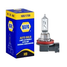 12V 65W H9 PGJ19 5 Halogen Headlamp Bulb (Headlamp Bulbs) Tools & Maintenance