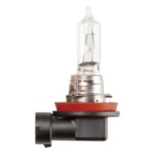 12V 65W H9 PGJ19 5 Halogen Headlamp Bulb (Headlamp Bulbs)