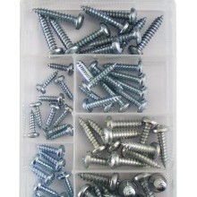 Self Tapping Screw Assorted Pack of 60 (Self Tapping Screws)