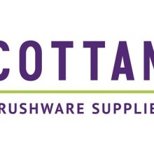 Economy Paint Brush (Paint Brushes) Tools & Maintenance