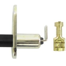 Courtesy Switch (Switches)